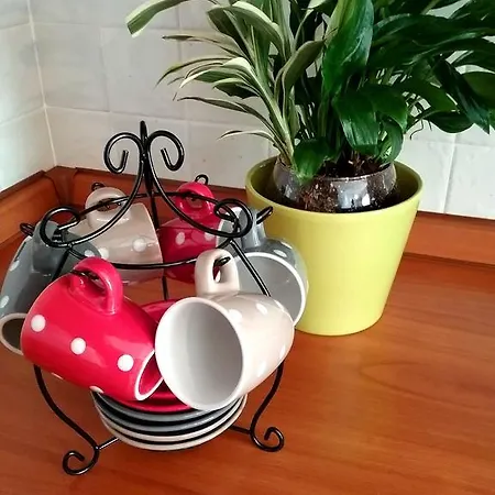 Ai Tigli *