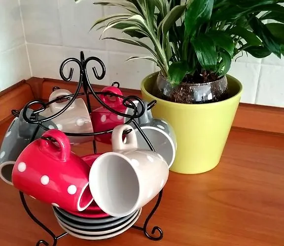 Ai Tigli *