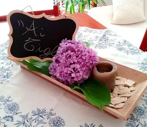 Ai Tigli ノアーレ